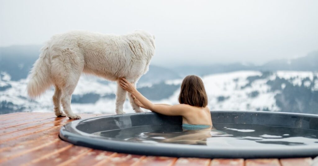 dog in hot tub featured image